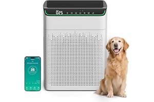 FLANUR Purificateurs d'air pour la maison - Grande pièce jusqu'à 500 m² - Entrée d'air double face Smart WiFi Alexa - Moniteu