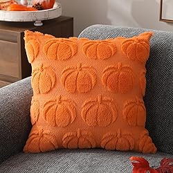 DFXSZ Fall Pillow Covers 18x18 Set of 2 Fall