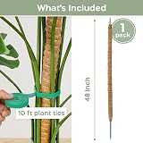 K-Brands Moss Pole Bendable 48 In Plant Support 2 Pack with Ties view 2
