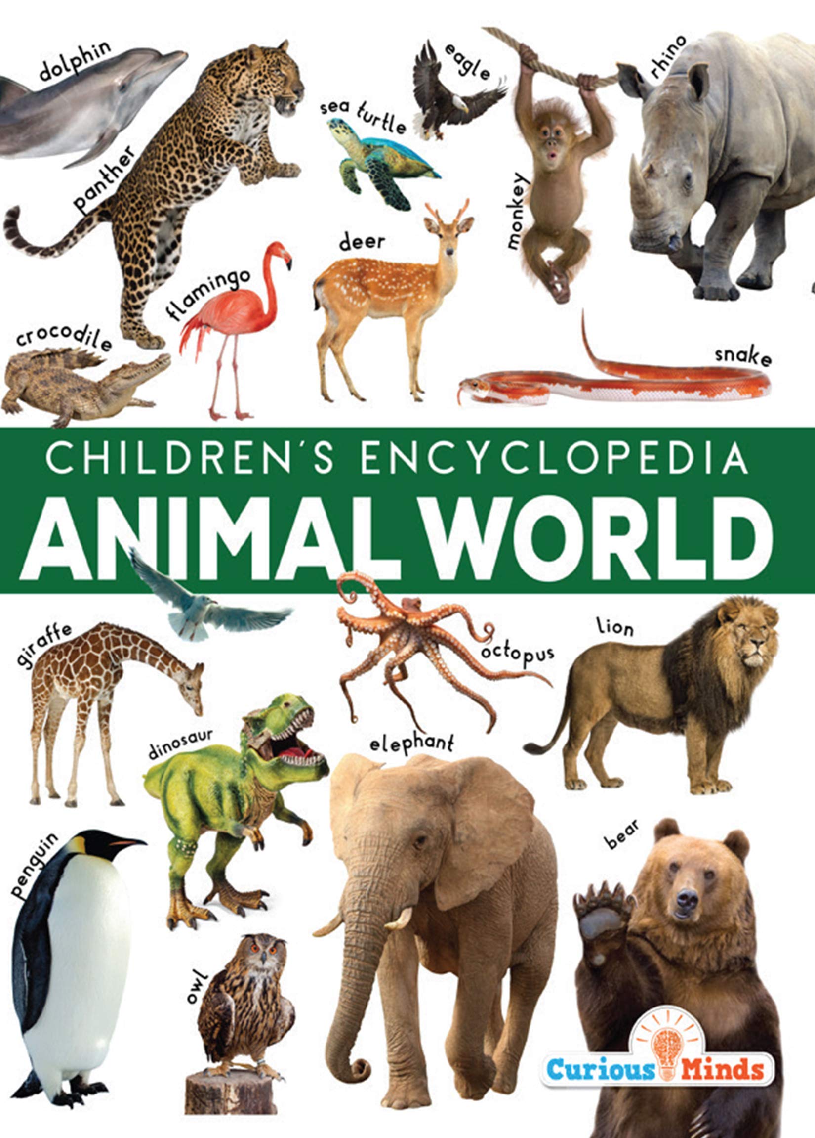 Animal World Children S Encyclopedia Team Pegasus 9788131958681 Amazon Com Books