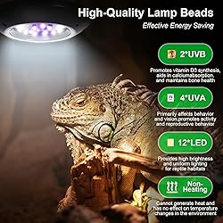 LED UVB Light for Reptiles, 8W UVA UVB Lamp
