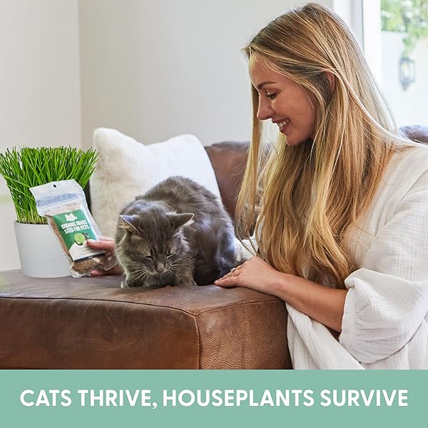 THE CAT LADIES 100% ORGANIC CAT GRASS SEED (NON GMO) 8OZ