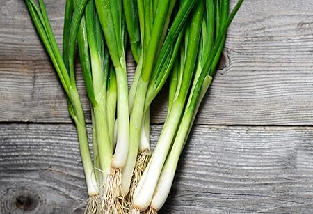 250 Graines De Poireau Legumes Jardin Potager Methode Bio