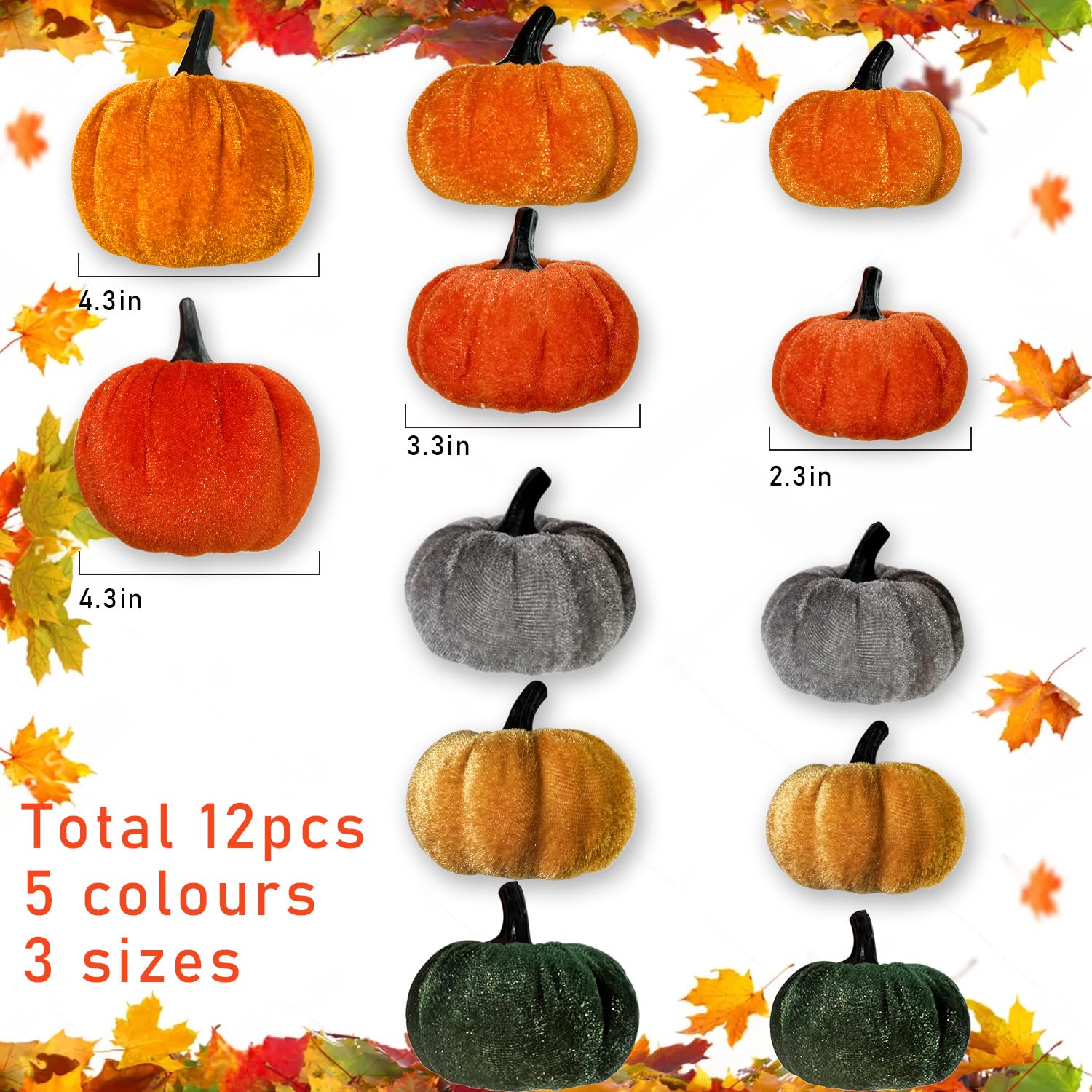 View 4