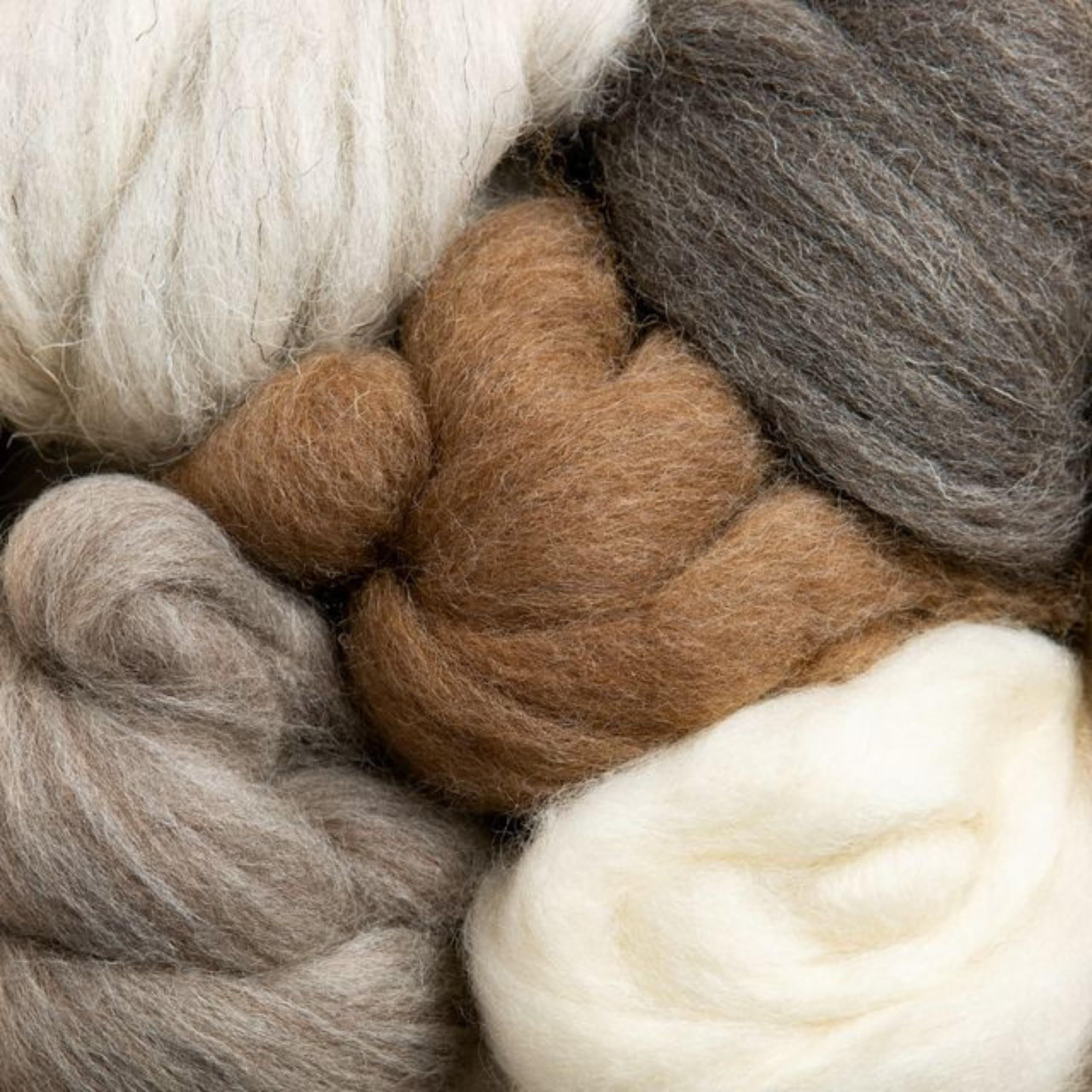 Hawthorn Handmade British Breeds Wool Bundle - Set of 5 Wool Tops for Needle Felting, Weaving, Spinning & Wet Felting - 100g Roving for Craft Kit