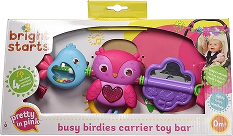 bright starts busy birdies carrier toy bar