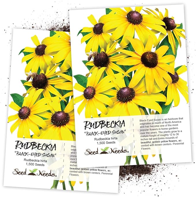Seed Needs, Black-Eyed Susan (Rudbeckia 