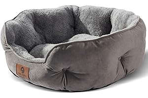 Asvin Small Dog Bed for Small Dogs, Cat Beds for Indoor Cats, Pet Bed for Puppy and Kitty, Extra Soft & Machine Washable with