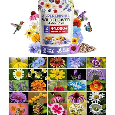 Amazon Best Sellers: Best Flower Plants & Seeds