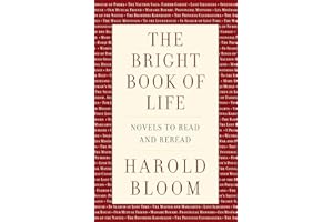 The Bright Book of Life: Novels to Read and Reread