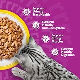 Whiskas Senior 11+ Poultry Feasts Wet Cat Food Pouches 12 x 85g Jelly view 6