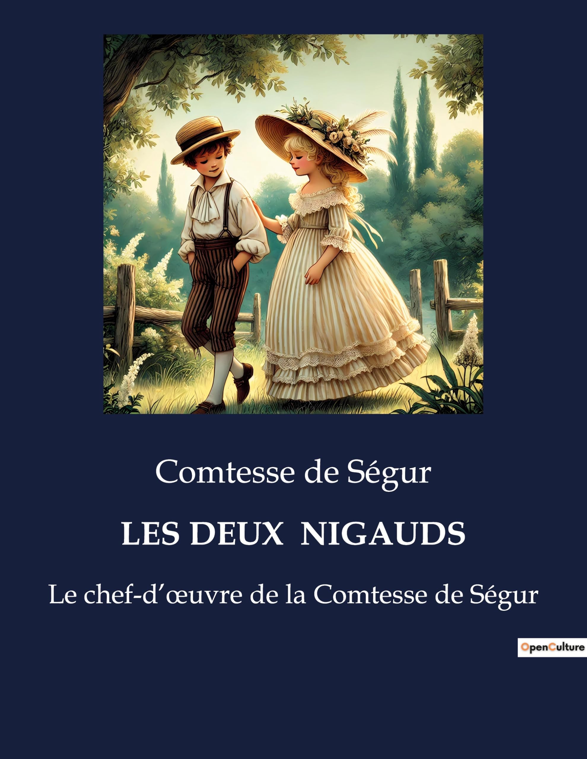 voir fiche du livre LES DEUX NIGAUDS: Le chef-d'oeuvre de la Comtesse de Ségur