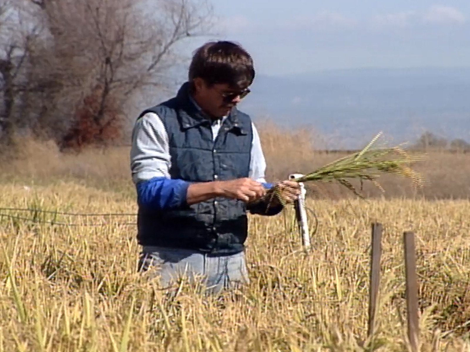 Watch Hawaii Cooks with Roy Yamaguchi Prime Video