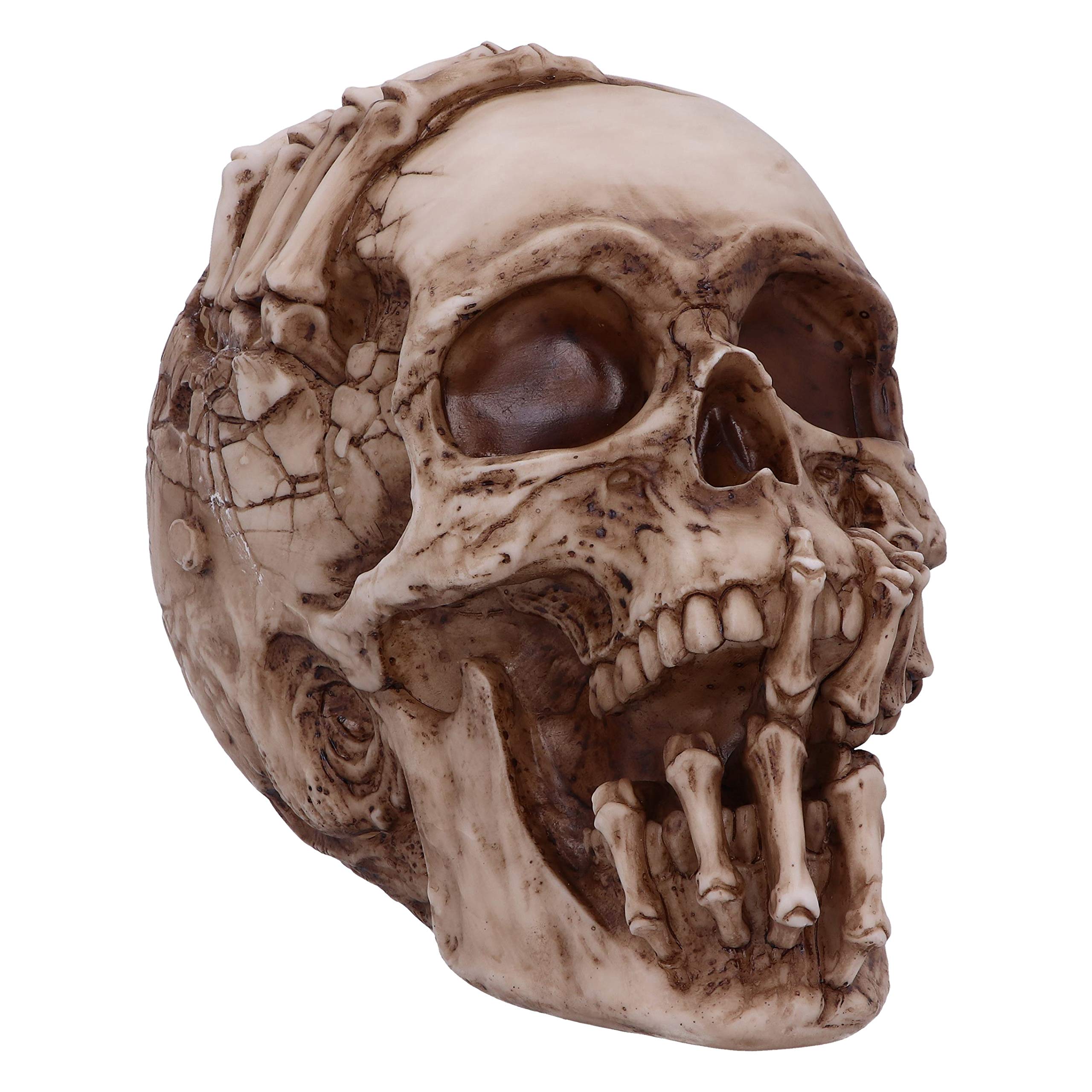 Nemesis Now Officially Licensed James Ryman Breaking Ornament, Skeleton Skull, 20cm, Brown