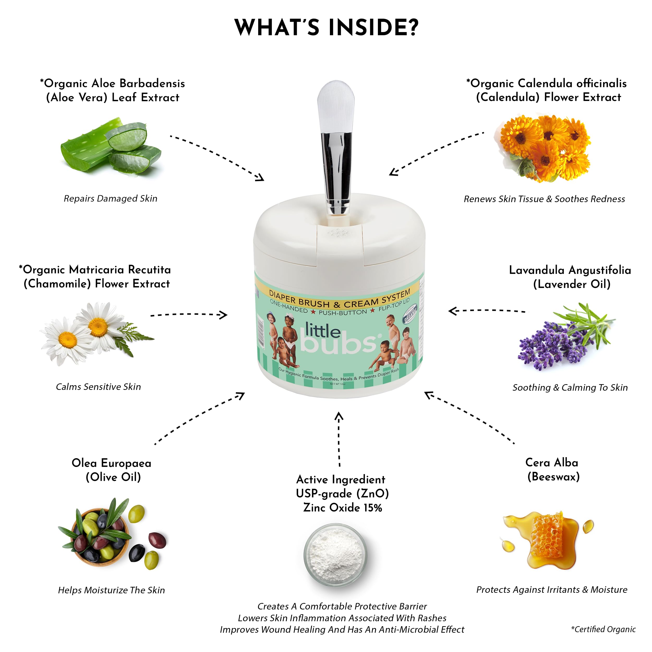 Little Bubs Diaper Brush & Cream (12 OZ) | USP-Grade & Certified Organic Ingredients | BPA free, No Synthetic Fragrance | Quick, Hygienic, Mess Free