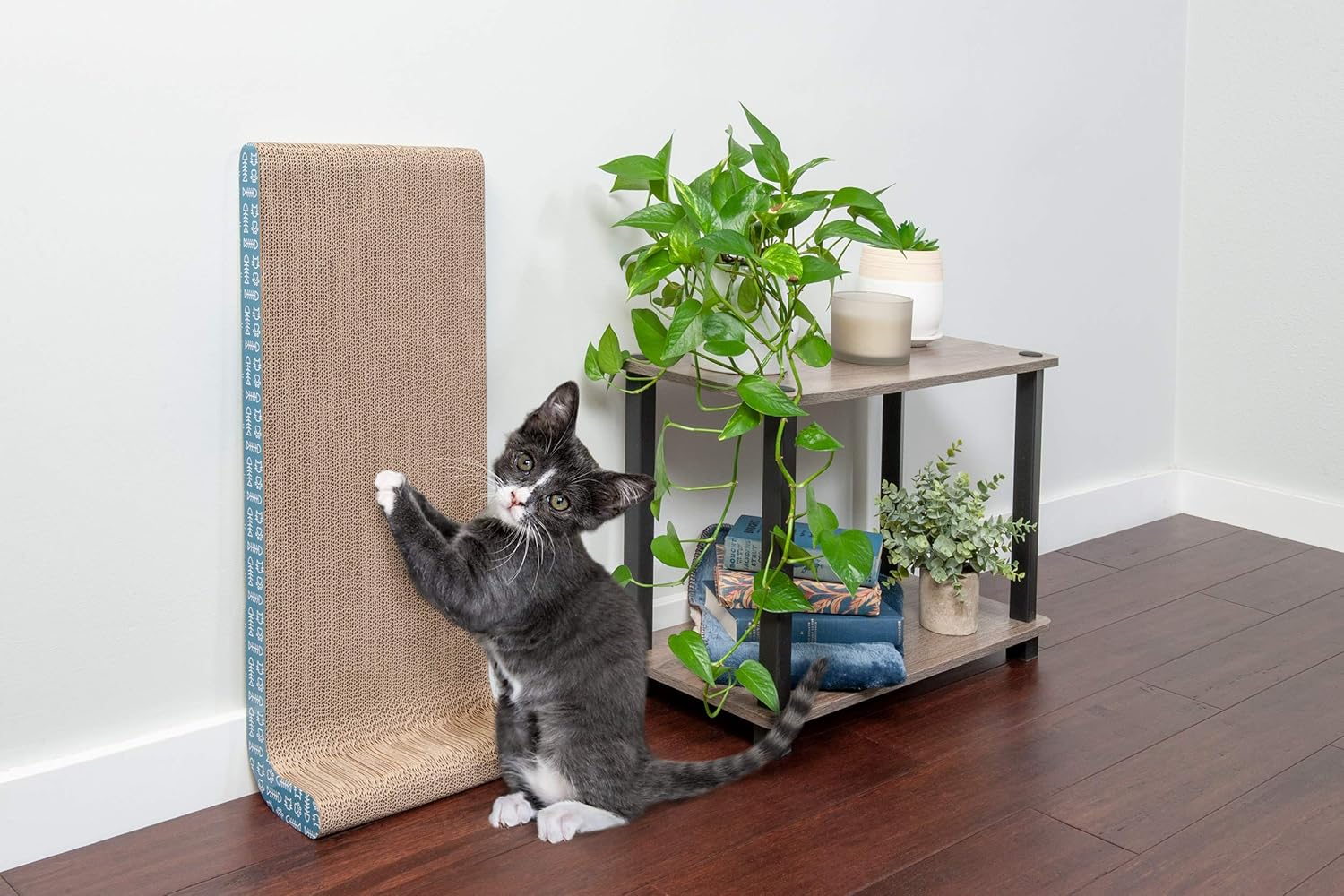 Furhaven Pet Cat Furniture - Corrugated Cat Scratcher Cardboard Tower Playground Condo Hideout Pet House Apartment with Catnip for Cats and Kittens, Cardboard (Brown), One Size : Pet Supplies