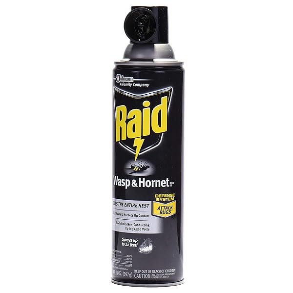 RAID WASP HORNET KILLER SPRAY (14 OUNCE (PACK OF 1))