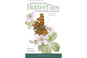 Pocket Guide to the Butterflies of Great Britain and Ireland