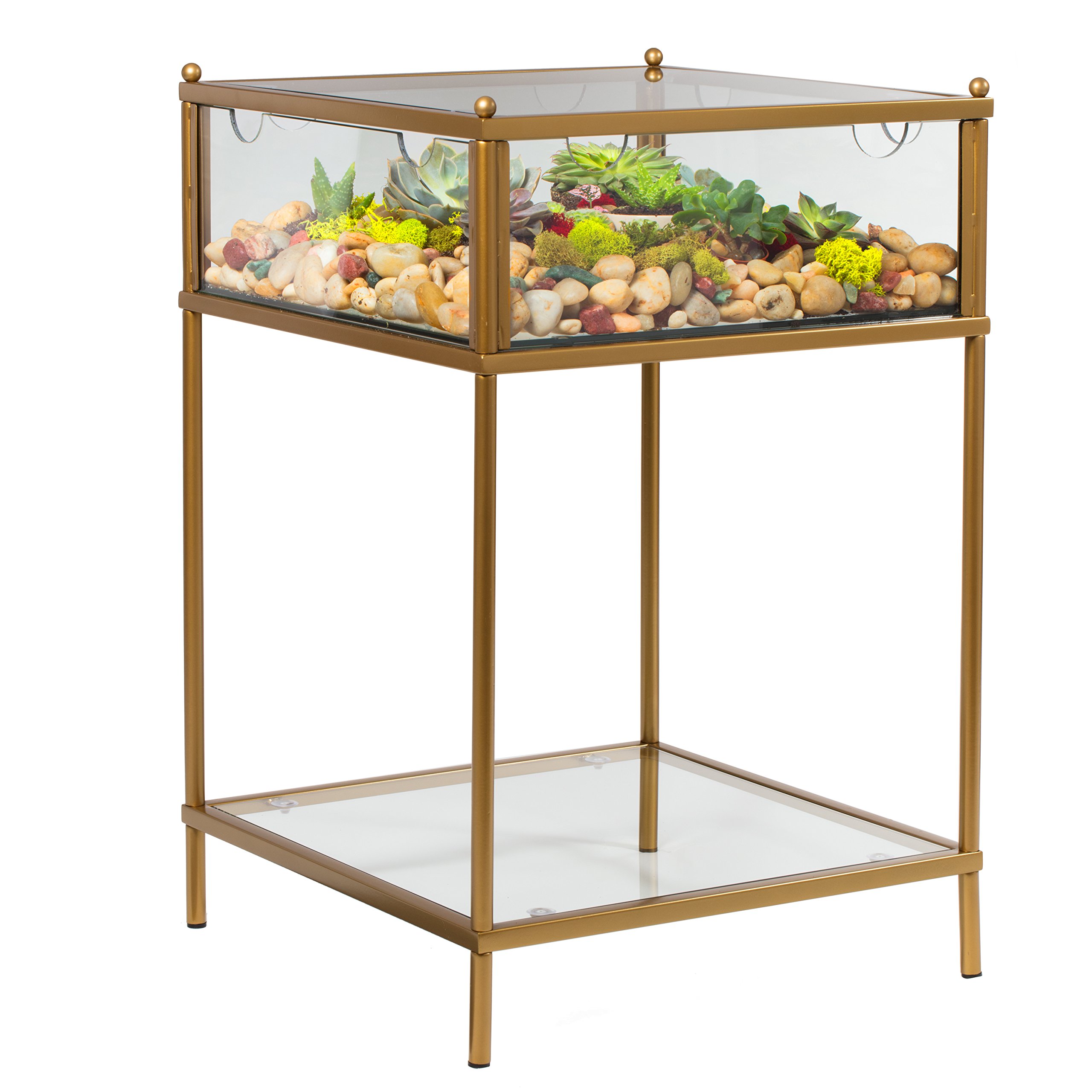 Terrarium Display End Table with Reinforced Glass in Gold Iron eBay