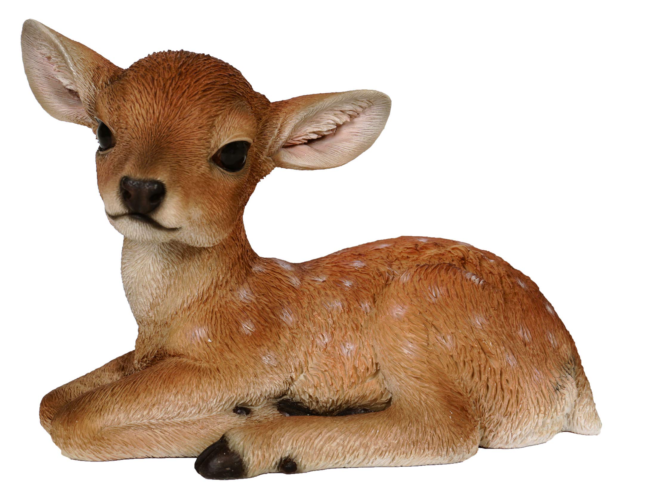 M.E.G Cards & Gifts Vivid Arts - Real Life Fallow Deer Home or Garden Decoration (XRL-DEER-F)