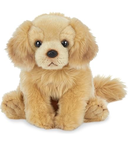 Amazon.com: Jellycat Tilly Golden Retriever Stuffed Animal, 10.5