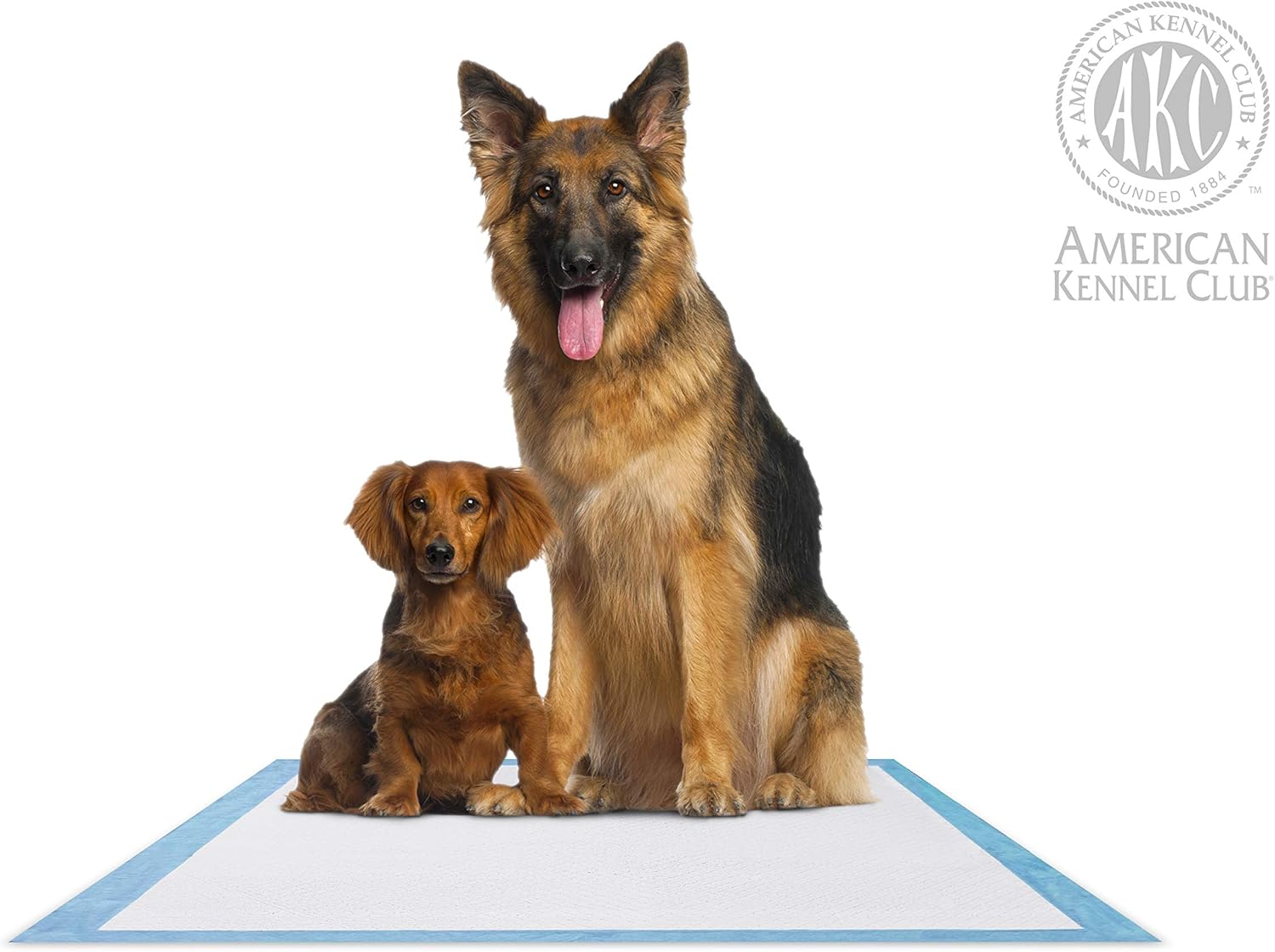 American Kennel Club 50 Count X-Large Training Pads, 30-Inch by 28-Inch : Pet Supplies