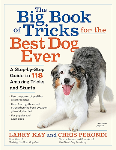 Download The Big Book of Tricks for the Best Dog Ever: A Step-by-Step Guide to 118 Amazing Tricks and Stunts (English Edition) PDF