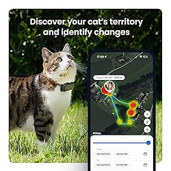 Tractive Smart Cat GPS Tracker | Real-Time Location