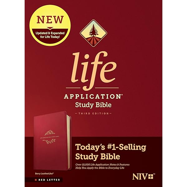Kids life application bible 子供英語聖書 Kids life application bible 子供英語聖書 本