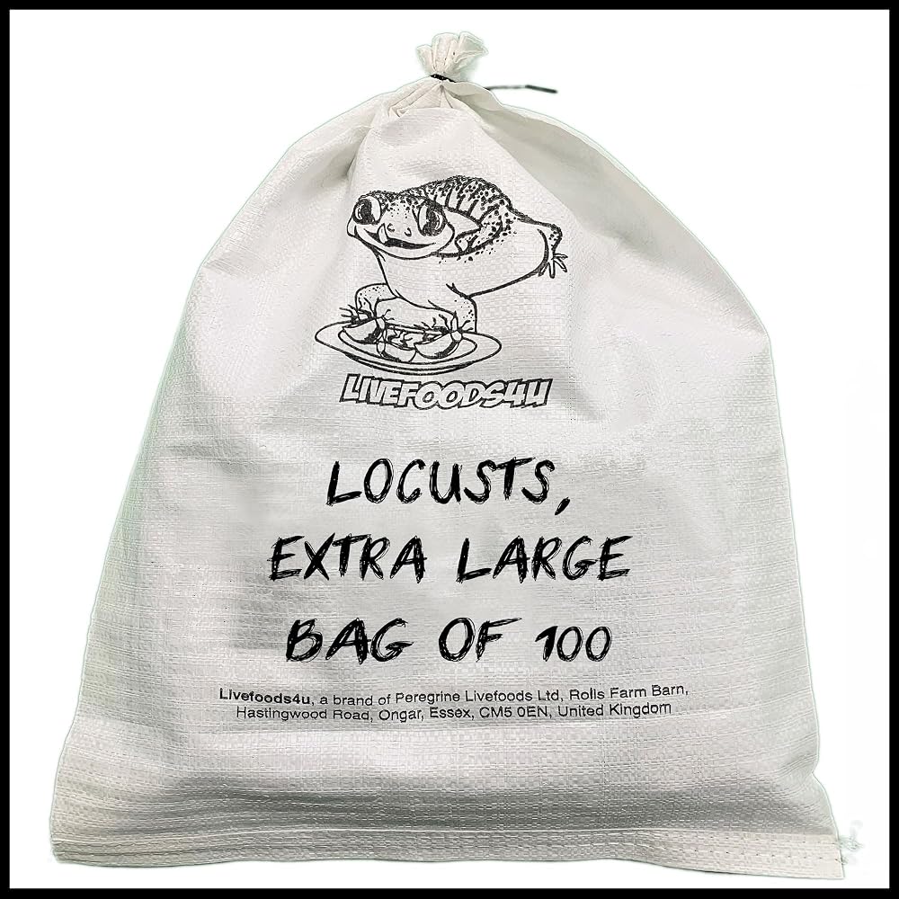 Livefoods4u XL Locust Live Food 100 (35-50mm) for Reptiles