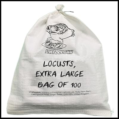 Livefoods4u XL Locust Live Food 100 (35-50mm) for Reptiles
