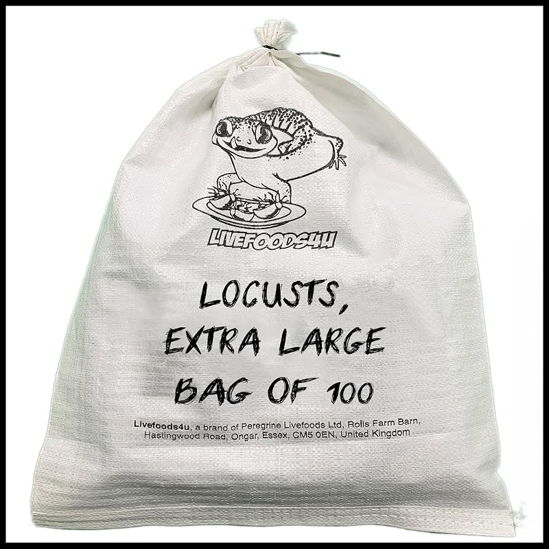 Livefoods4u XL Locust Live Food 100 (35-50mm) for Reptiles