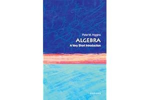 Algebra: A Very Short Introduction (Very Short Introductions)
