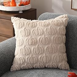 DFXSZ Fall Pillow Covers 16x16 Set of 2 Fall