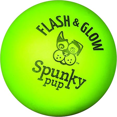 flashing dog ball