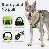 Belababy Dog Harness Small Medium Large No Pull Adjustable Reflective Front view 3