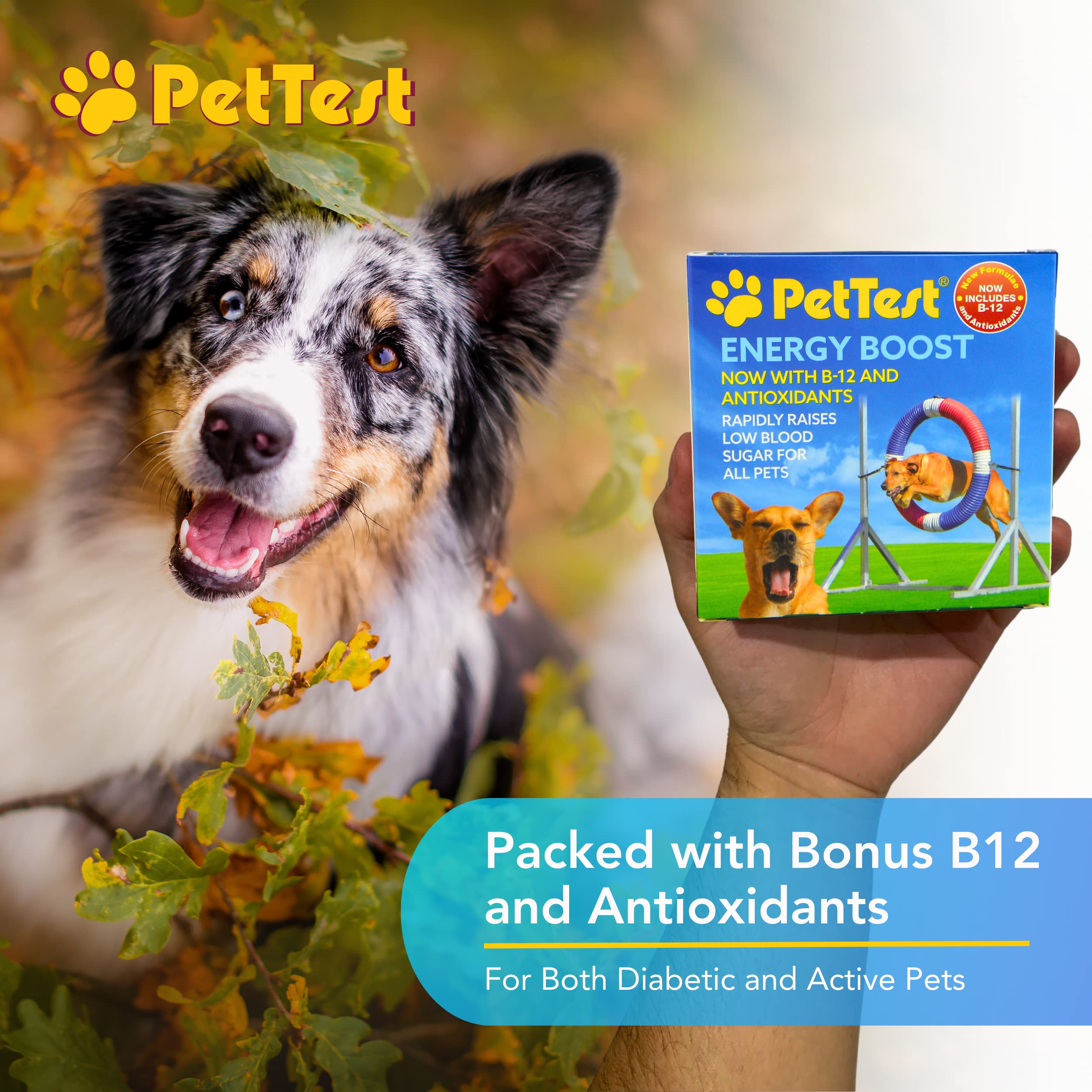 PetTest Energy Boost Glucose SOS 3x10ml Tubes for Pets, Instantly Increases Low Blood Sugar with B12 and Antioxidants, Fast Acting, Meat Flavoured, Rapid Recovery for Active or Diabetic Dogs & Cats