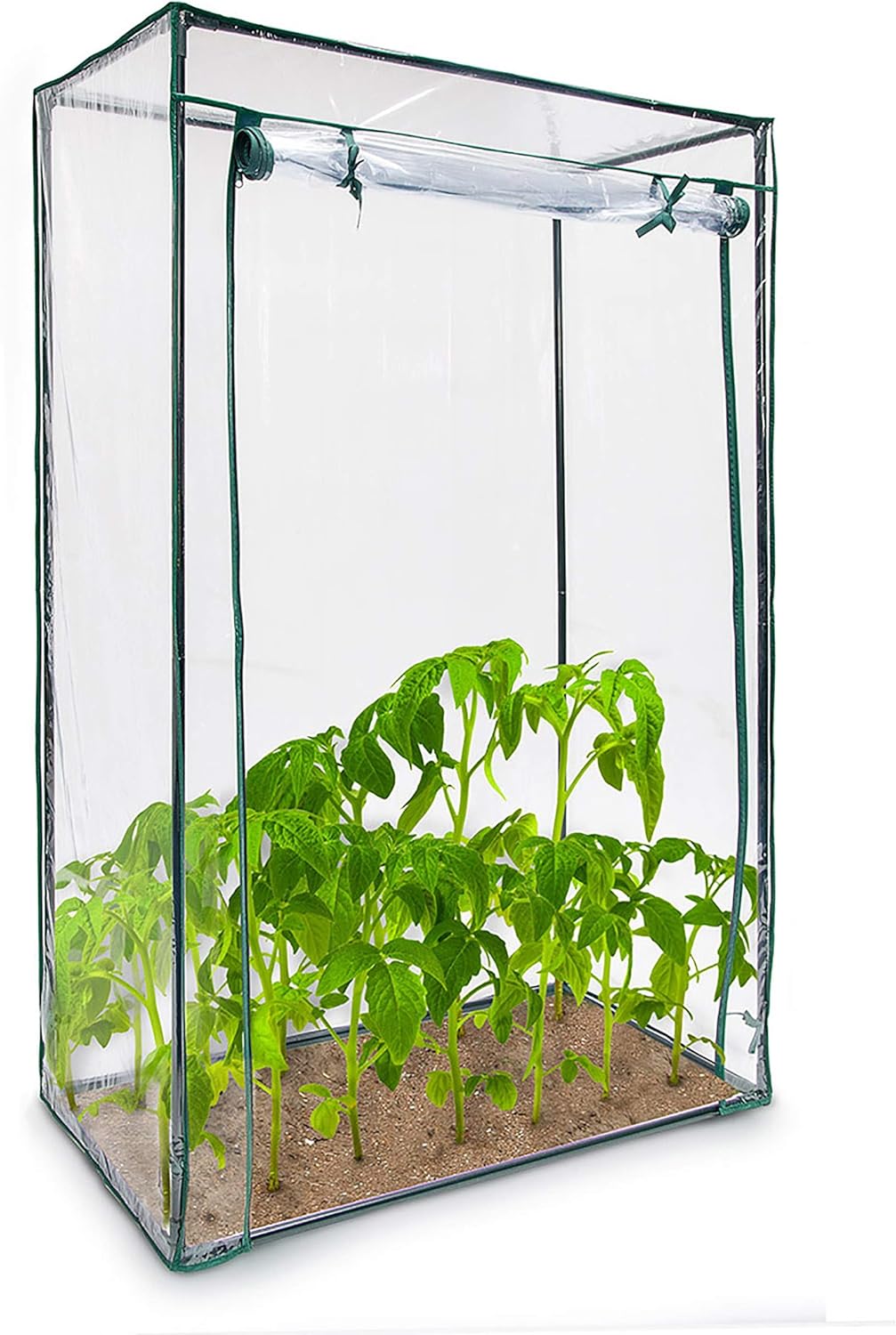 Relaxdays Tomatengewächshaus Stahlrohr u. Folie 150x100x50 cm (HxBxT), stabiles Treibhaus Balkon u. Garten, transparent