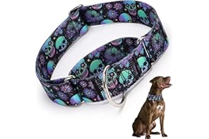 HIDAKEAI Martingale Collar 1.5 Inches Wide Dog Collar, Skull Design Heavy Duty Collar for Dogs with Larger Heads & Necks, Perfect Boy and Girl Collar for Training, Walking, Hunting (XL)