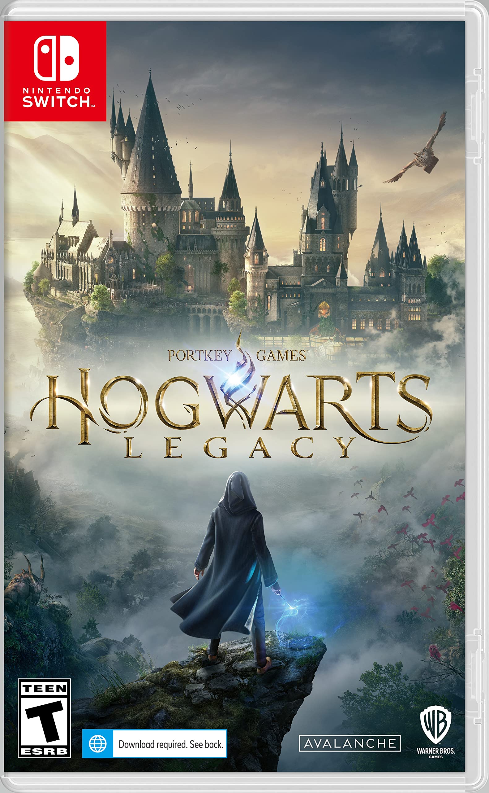 Hogwarts Legacy - Nintendo Switch Image