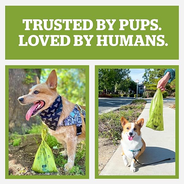 POGI’S 300 UNSCENTED DOG POOP BAGS WITH HANDLES – EARTH-FRIENDLY, LEAK-PROOF, ULTRA THICK, 4+ MONTH SUPPLY