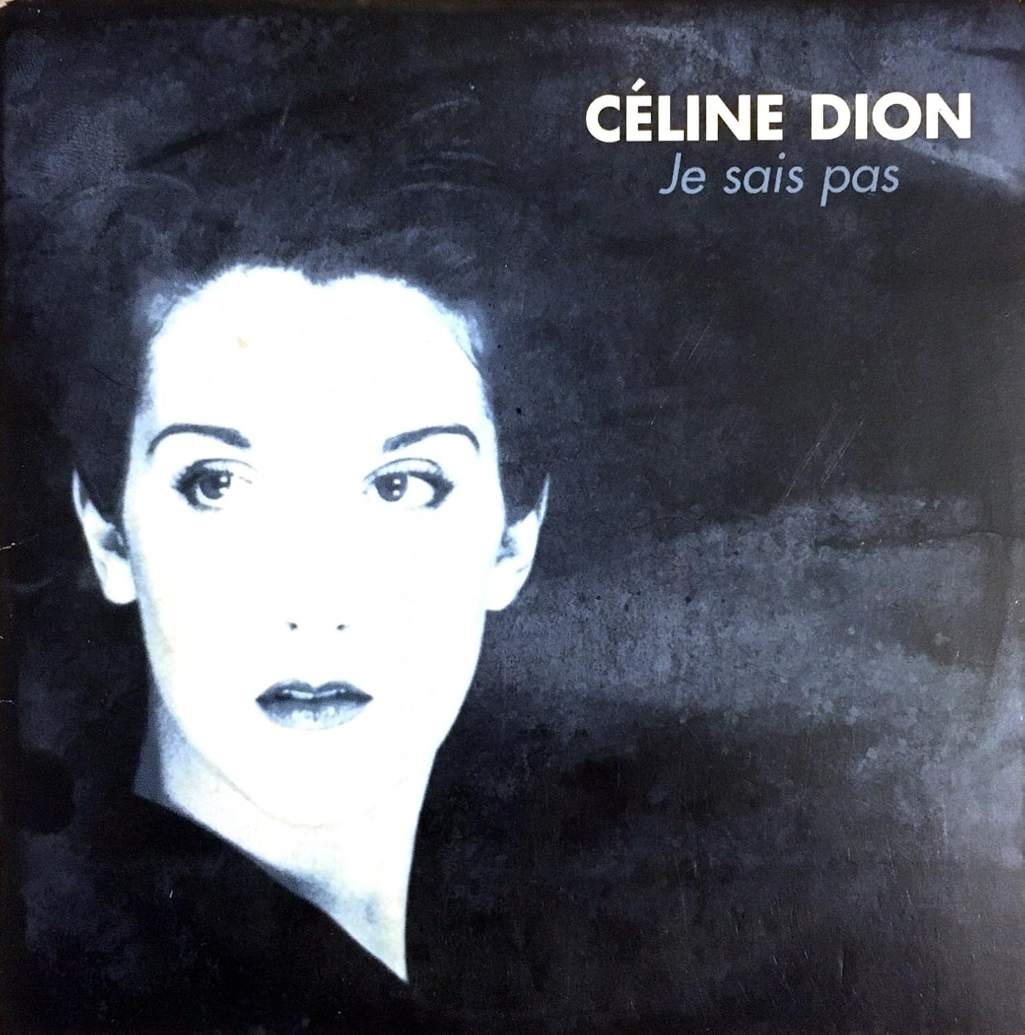 Celine Dion Je Sais Pas Download Celine Dion Songs Age celine dion songs age blogger