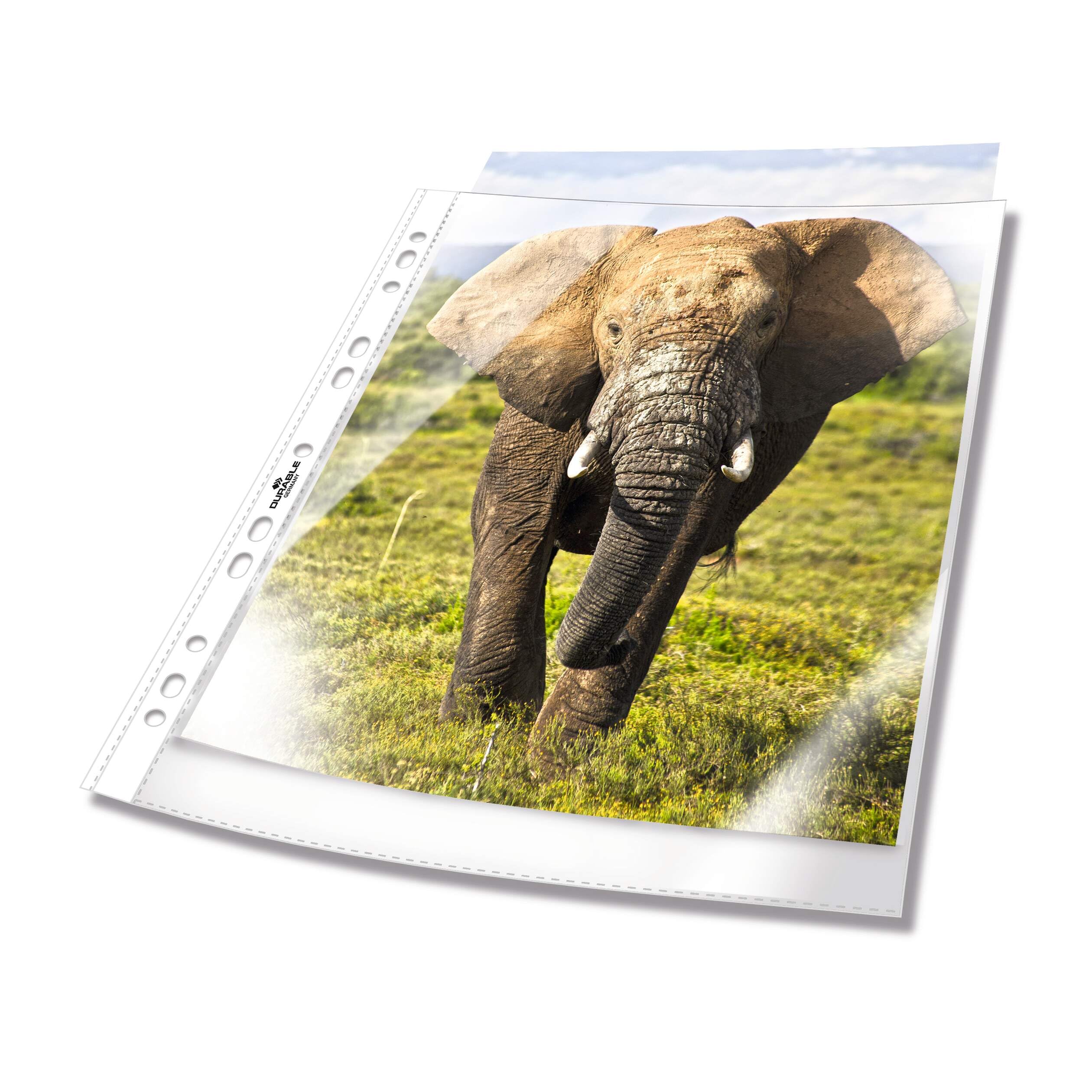 Durable Transparent Punched Pocket A4 Portrait | Punched Document Wallet with Thickness of 0.06mm | Large Pack of 100 Transparent Pockets