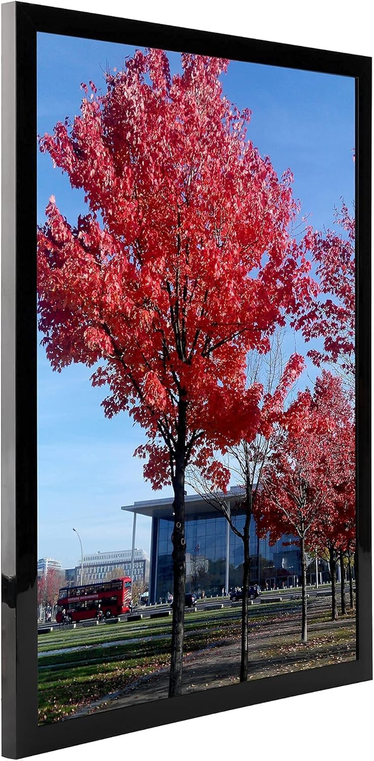 Photo Albums, Frames & Accessories - Medog 12x16 Picture Frame Black For Pictures 12