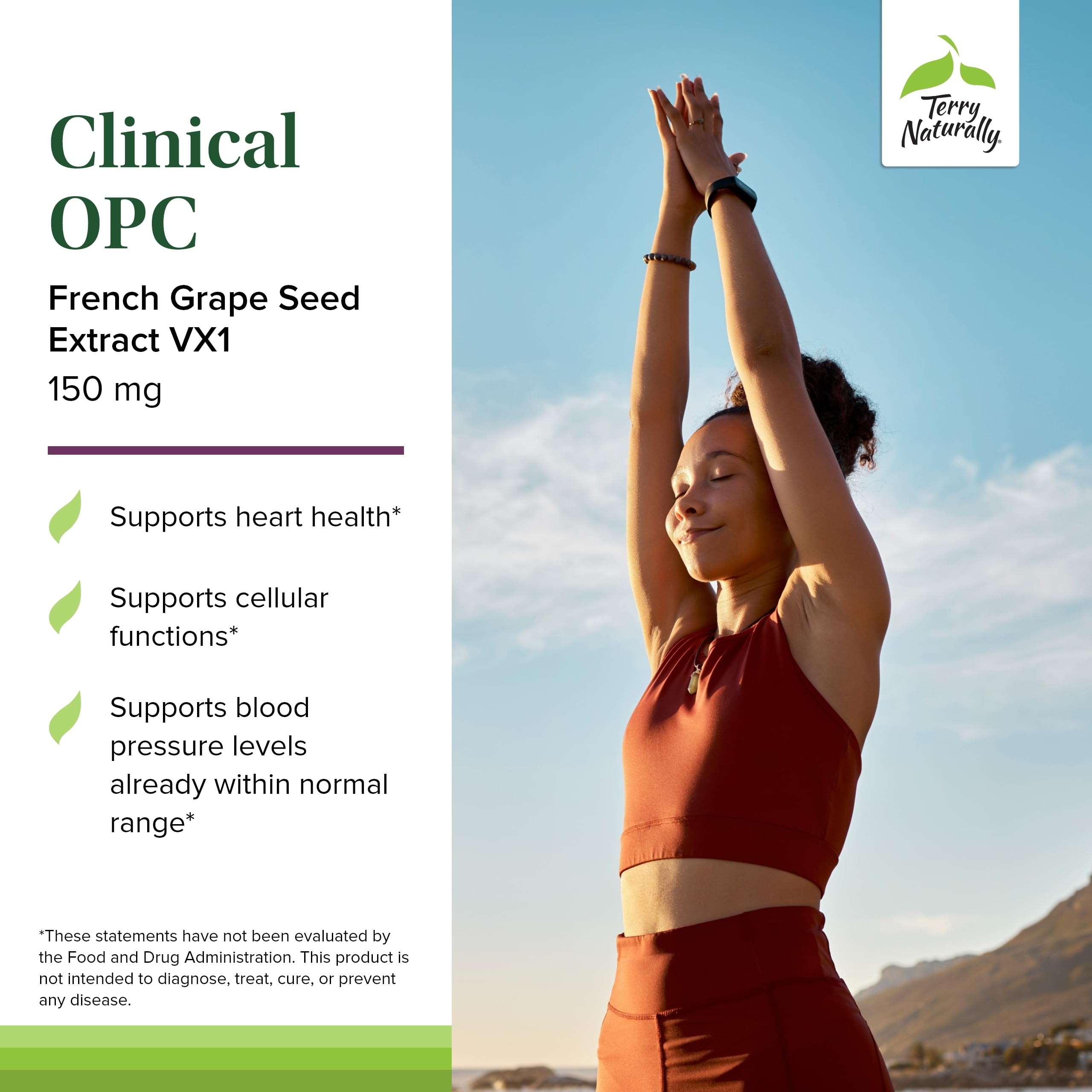 Terry Naturally Clinical OPC - Cardiovascular Health & Focus Support Supplement - Dietary Supplement with Grape Seed Extract & Sunflower Lecithin - Immune Support - 150 mg - 60 Capsules