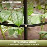 Garden Mile 2x Large 2m Metal Garden Obelisk Plant Cage Climbing Support view 10