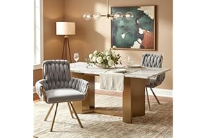 FammyLoft Dining Chairs Set of 2, Upholstered Kitchen Chairs with Metal Legs, Modern Velvet Dining Room Chairs with 360° Swiv