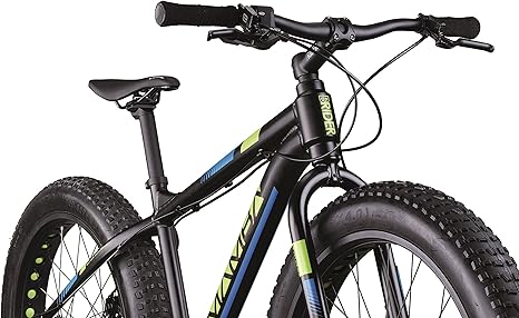 fat bike black mamba