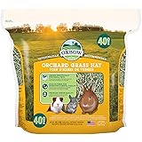Oxbow Animal Health Orchard Grass Hay - All Natural Grass Hay for Chinchillas, Rabbits, Guinea Pigs, Hamsters & Gerbils - 40 