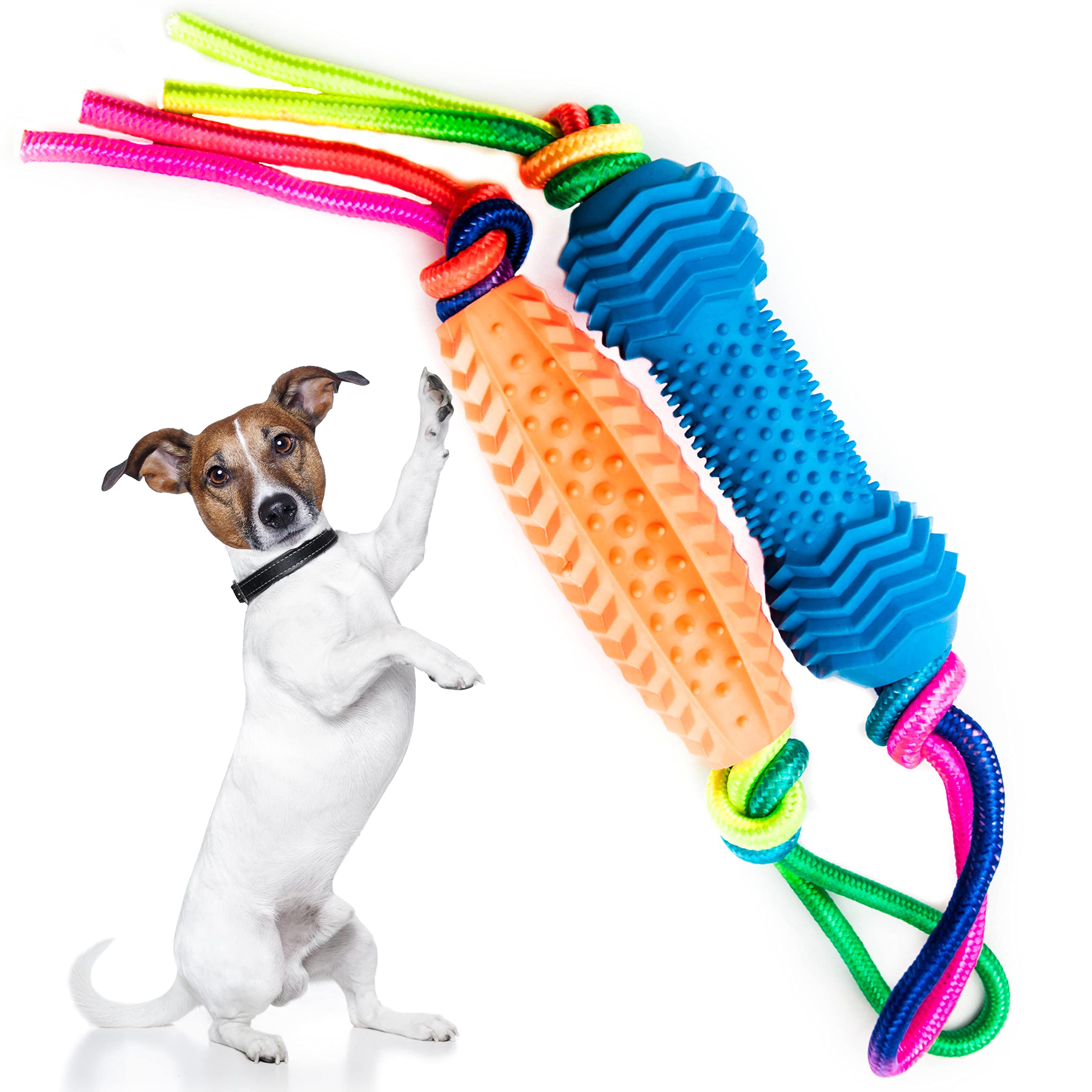 Petopedia 2x Dog Chew Toy with Rope – Puppy Toys from 8 weeks, Small and Medium Dogs – Flexible Bone & Corn – Interactive, Boredom, Dental, Teething, Chewing, Training (Blue & Orange)